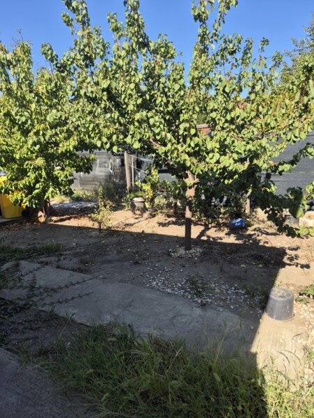 Domnesti, zona Craitei-Foisorului, Casa individuala parter